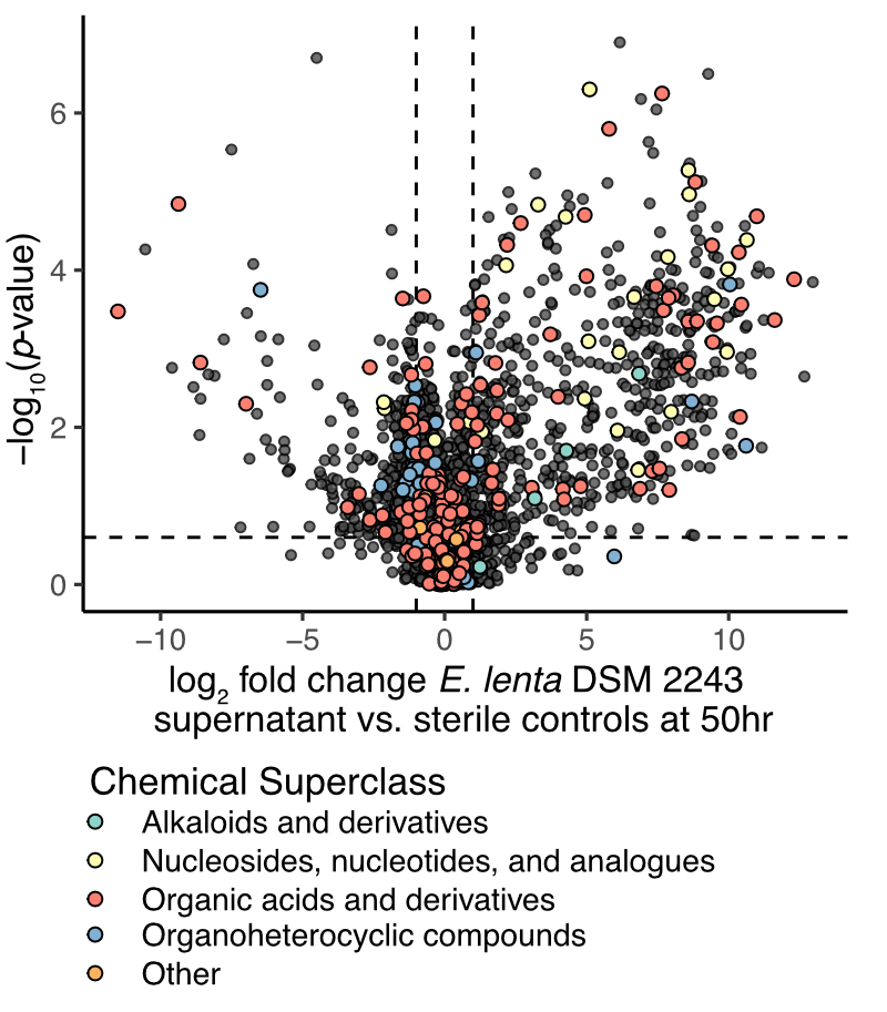 Differentially abundant metabolite features in E. lenta supernatant